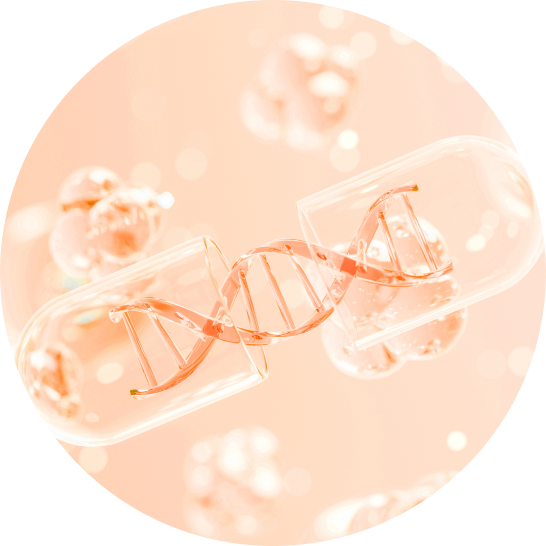 리엔장 다이어트약처방 시술 장점 이미지