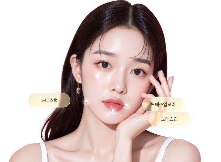 리엔장 노메스시리즈 모델 이미지